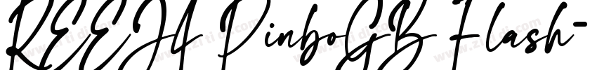 REEJI PinboGB Flash字体转换